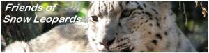 Anyone can join Melbourne Zoo Friends of Snow Leopards Network.