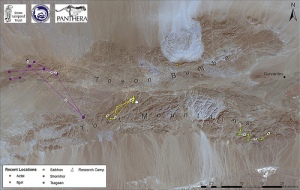 Tracking snow leopards in Mongolia. Map from Snow Leopard Trust blog.